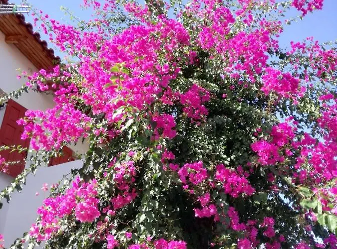 公寓式酒店 Heleni Epidaurus