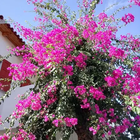 아파트호텔 Heleni 에피다우로스